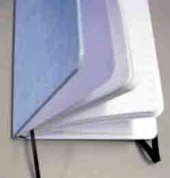 Blue Notebook
