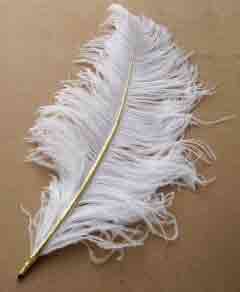 Plume Pen