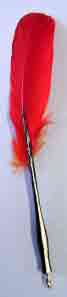 Quill Pen
